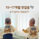 아기 걸음마 시기 평균은? 15~17개월에 걷기 시작한 이른둥이 쌍둥이 후기
