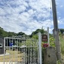 반구대 편백하우스 네이버블로그
