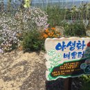 천일농장 이미지