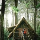 숲속오두막 이미지