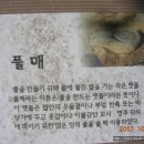 서포리웰빙산책로 (덕적도) 티스토리