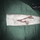 대흥동물병원 이미지