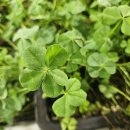 김양식농장 이미지