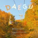 (주)시화대형카 | 대구 팔공산 단풍 실시간 케이블카 시간 요금 할인