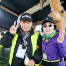 동부마을길 이미지