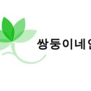 쌍둥이네인삼