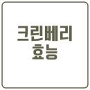 크린베리효능 이미지