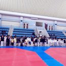 골드shot 이미지