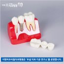 우리들치과기공소 이미지