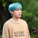 숲속나라 이미지