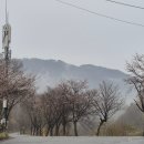 청룡사보각국사정혜원융탑화장실 | 빗소리에 잠들고, 빗속을 걷다