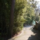 금산분재펜션 이미지