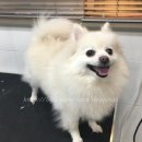 도기누리 이미지