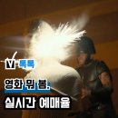 최신영화 히트맨 상영 | 8월 중순 현재상영영화 순위 기반 최신 인기 영화 추천, 1위는?