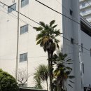 케이엔정보 | 히로시마 2박 3일 3일차｜슛케이엔,히로시마공항(오코노미야키 밋짱 히로시마공항점), 제주항공 7c1616