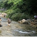 괴목민박 이미지