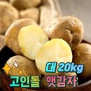 감자 이미지