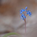 힐링 플라워 꽃꽂이 이미지