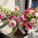 법원로3길 23 이미지