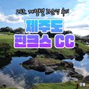[제주] 골린이 리뷰 : 제주 핀크스 CC (2) 계절별 라운딩 후기