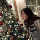 [원주]컨셉에 맞게 사진찍으러 카페간다고?/ 사진정원 후기