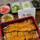 GS역삼충현점 | 역삼역 맛집 일식집 장어덮밥 추천 치솟 역삼본점