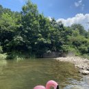 풍전가든 이미지