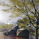 정읍시 내장산국민여가캠핑장 | 전북 정읍시 내장산국민여가캠핑장 우중캠핑(아트비긴 캐노피캠퍼 아이두젠 반타곤)