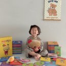 생활속의 인문학 2강(잃어버린 호기심을 찾아서) | 3세 유아전집 그레이트북스 베베코알라 생활동화 언박싱 구성 후기