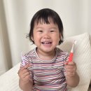 더블라인 | 휴대용 치실 추천 더트웰브 더블라인 불소치실 사용 후기