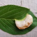 지산아이앤씨주 이미지