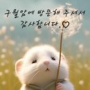 【구월암】 태몽의 의미와 “위인에 얽힌태몽”이율곡,김유신,이순신 이야기 1탄