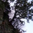 고성자연사박물관 이미지