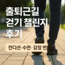 출퇴근길 걷기 챌린지 후기 - 일상을 걷는 새로운 경험