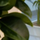 리엘치과의원 이미지