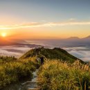 무수과일야채 이미지