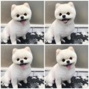 상동하늘유치원 이미지