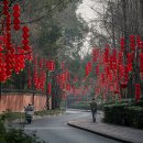 11545-10-00-24 | [2026 중국 쓰촨성] #00. 춘절 연휴 4박 5일 청두와 구채구 여행 간단 후기