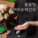 몽몽잇 | 애견수제간식 추천 몽몽잇 강아지수제간식