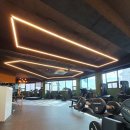 원트피티 이미지