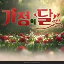 뉴에버 이미지