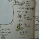 우리땅애 티스토리