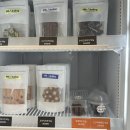 오도도그 이미지