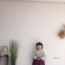 스티치스