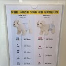 갸카페 이미지