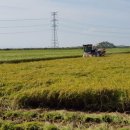 미곡농장 이미지