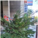 연세 상담 행정사 사무소 | 인천행정사 문제를 해결하는 믿음직한 동반자, 연세행정사사무소