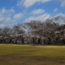 덕치초등학교 이미지