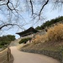 중부-현장-중부-491 | 상당산성: 청주의 역사를 품은 천년의 성벽