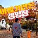 아빠가 만든 캠핑장 이미지